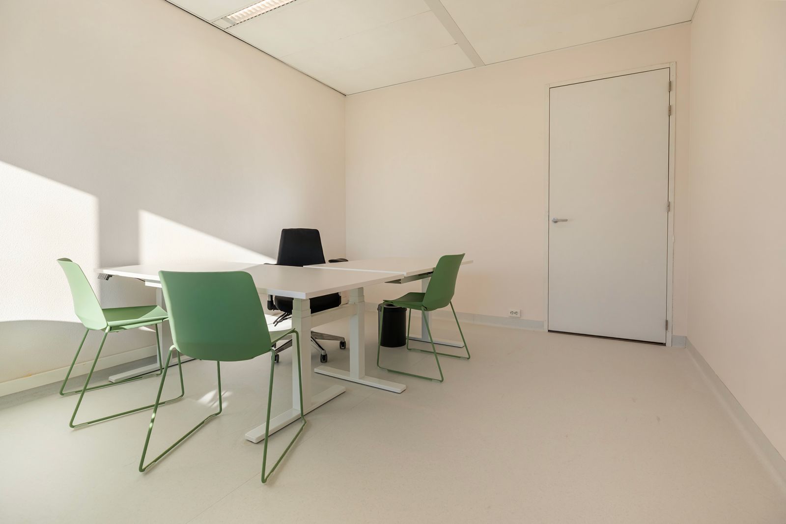 WhatsApp Image 2026-02-27 at 16.05.31.jpeg